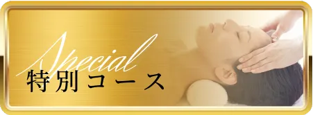 特別コース